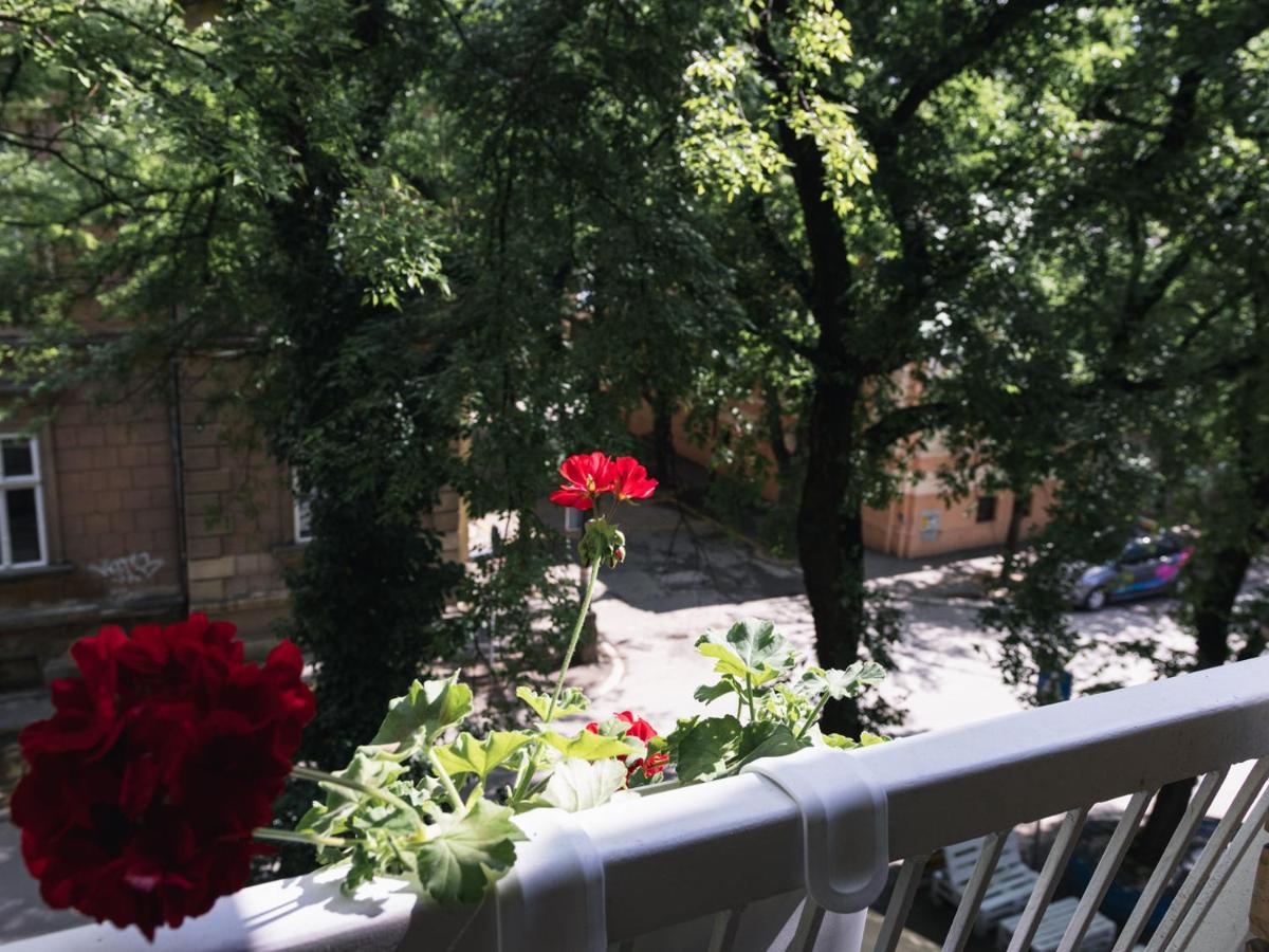 My Space Apartment ซูโบติกา ภายนอก รูปภาพ